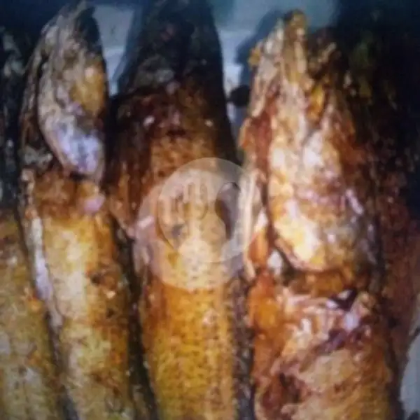 Ikan Gabus Goreng + Nasi Putih | Sate Madura D'kampung Cak Yusuf, Jambu