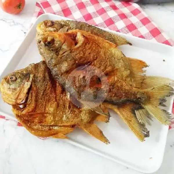 Ikan Bawal Bakar/goreng RR | Ayam Bakar Ayam Goreng RR Free Sambal Dadak Dan Karedok Lenca