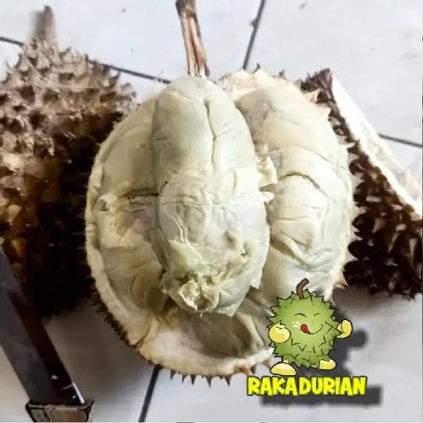 Durian utuh | Raka Durian, Cilodong