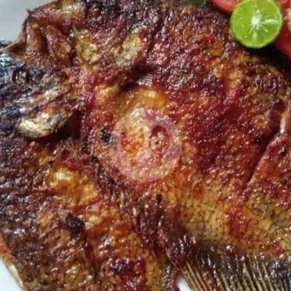 Ikan Kakap -bakar Madu, | Seafood Aca 48, Daan Mogot