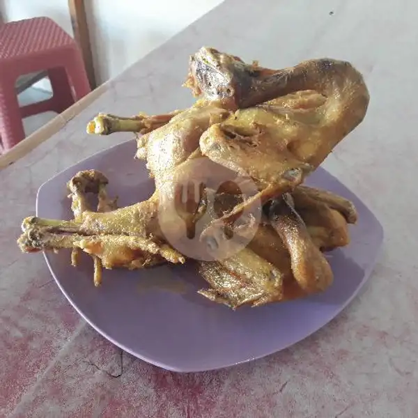 Ayam Jawa Panggang 1 Ekor | Ayam Spesial Jantan Manshurin, Gunungpati