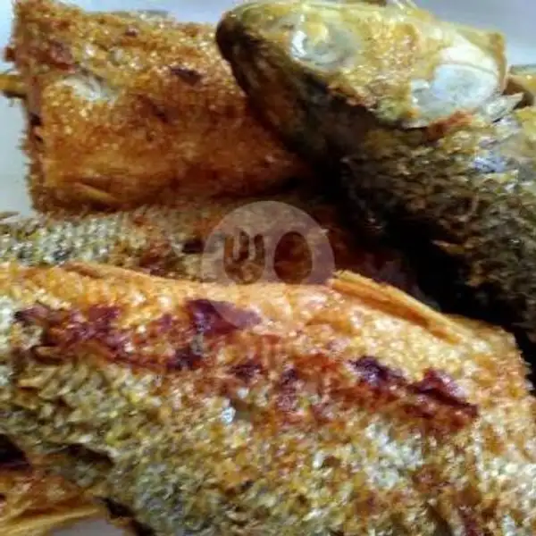 Nasi Ikan Bandeng Goreng | Nasi Uduk Malam Demus, Pondok Gede
