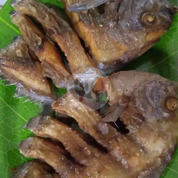 Ikan Bawal Laut Goreng | Berkah Seafood, Kretek
