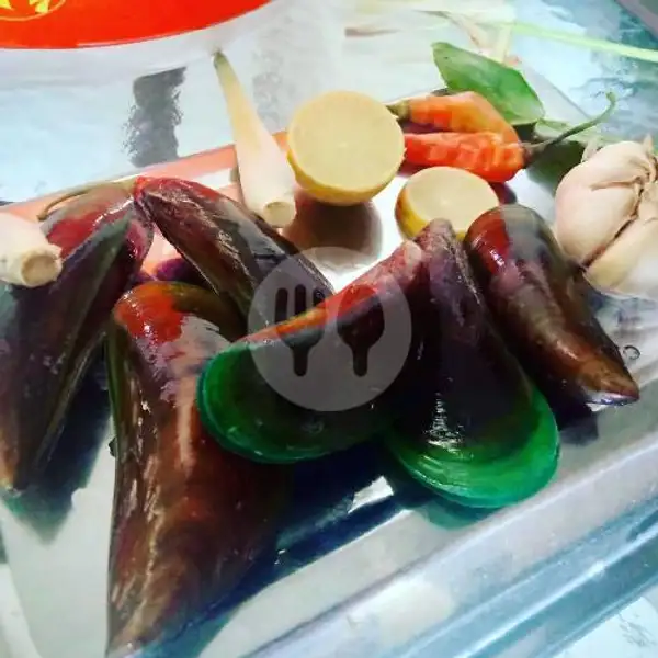 Kerang Ijo Uk 1/2 Kg | Seafood Mangandar, Katapang