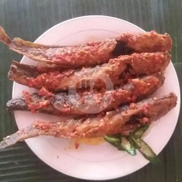 Nasi + Lele Balado + Sayur + Sambal | Warung Inang Masakan Padang, Tukad Banyusari