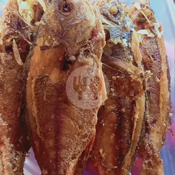 Ikan Grg Ekor Kuning | Warung Nasi Kuning Pondok Lestari, Ciledug