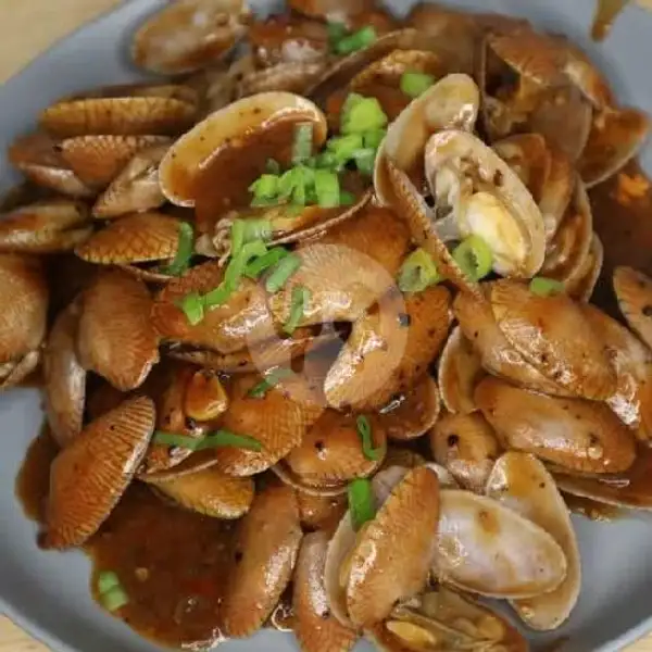 Kerang Batik 1kg | Seafood.kom, Cimahi