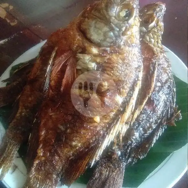 Ikan Mujair | Masakan Padang Bukittinggi, Gianyar