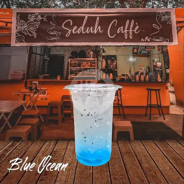 Blue Ocean | Seduh Caffe, RA Kartini