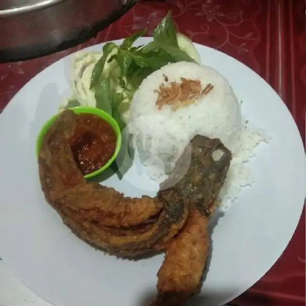 Lele Goreng | Seafood Khayla Jaya