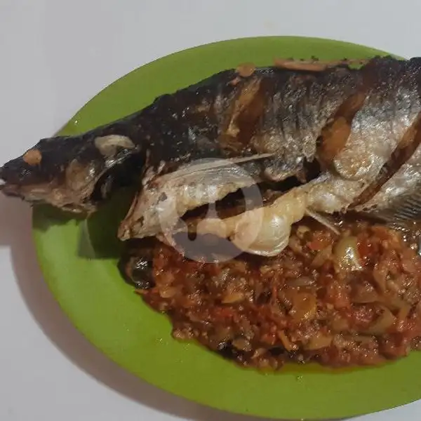 Ikan Patin | Rm Ikan Lesehan 24jam, Kebayoran Lama