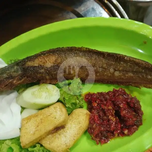 Pecal Lele + Nasi | Warung Zura, Padang Timur