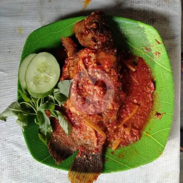 Gurame 5 - 5,5 ons TANPA NASI (sambel pilih) | Mbak Vina Seafood, Bukit Kecil