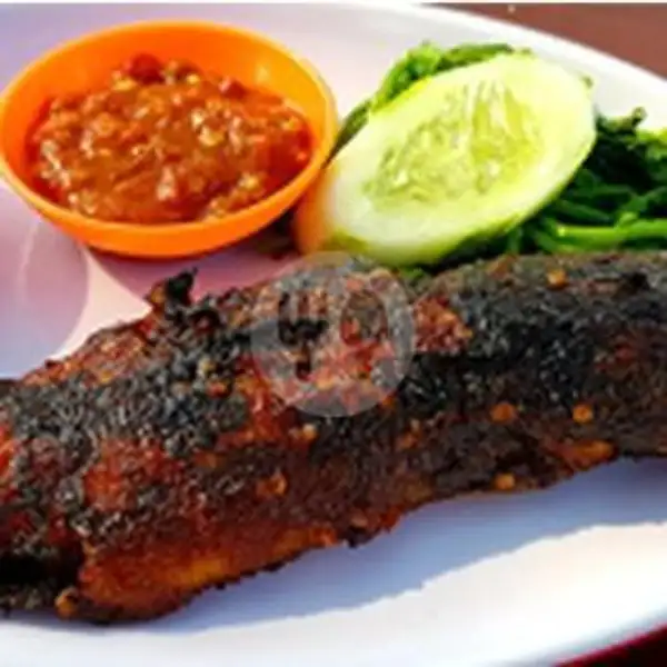 Lele Bakar + Nasi | Ikan Bakar Dan Ayam Bakar Cabang Seraya, Bengkong