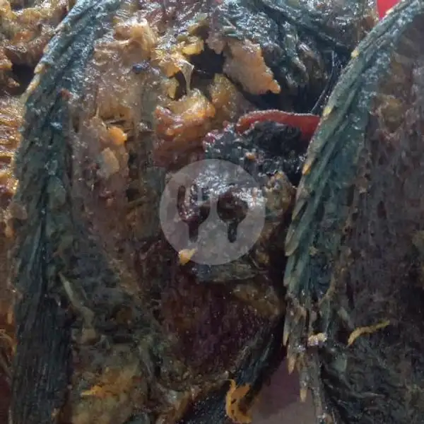 Ikan NILLA Goreng | Warteg Sari Rasa Bahari, Kelapa Gading