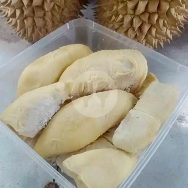 Durian / Duren Palembang 1.2 Kg Fresh | Raka Durian, Cilodong