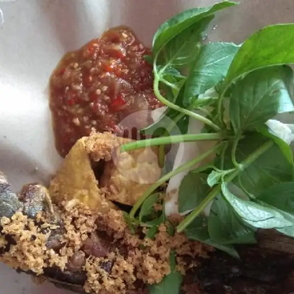 Nasi Lele Penyet + Teh Obeng | Ayam Penyet Kita, Panbil Mall
