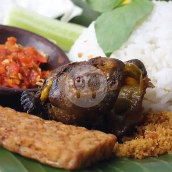 Nasi Lalapan Hati Ampela Goreng Penyet | Warung Barokah Tradisional Food, Bendungan Sutami