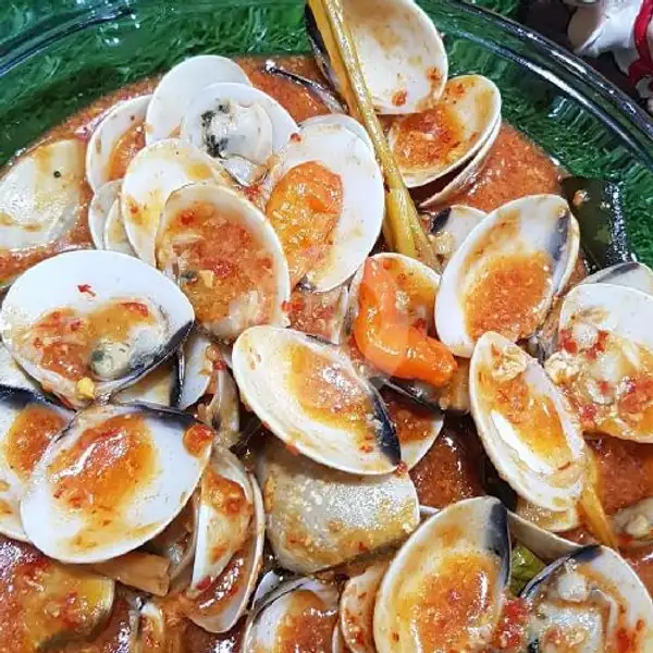 Kerang Tahu | Seafood Ndjedir