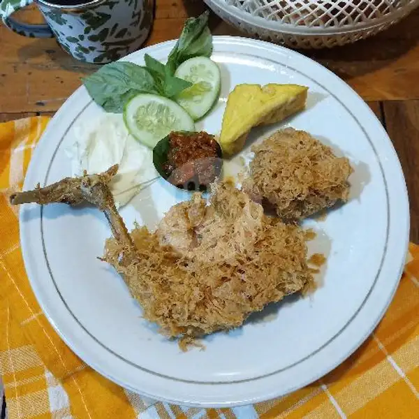 Ayam Sarang Telur | Kampung Cerbonan, Cibogo - Bandung