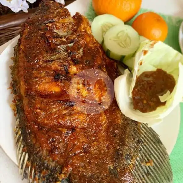 Gurami Jumbo Bakar Madu / Ekor | Seafood Ndjedir