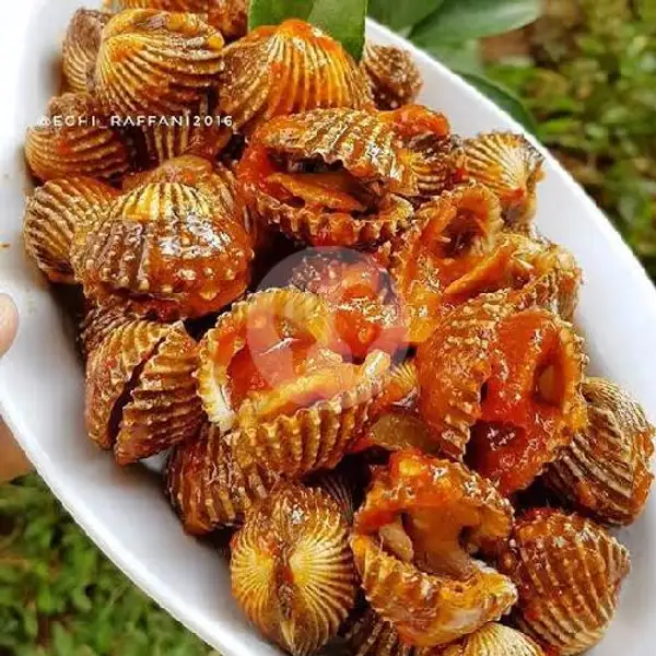 Kerang Dara | Seafood 48 NaufaL