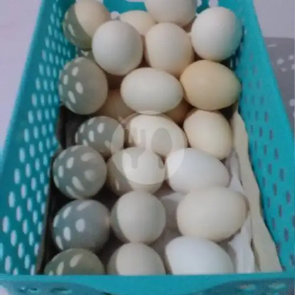 Telur Ayam Kampung | Bubur Acung Jr, Ahmad Dahlan