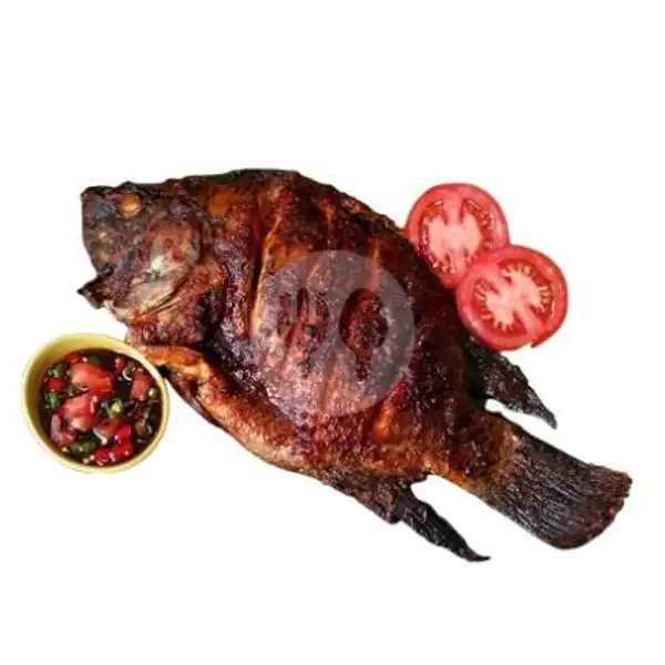 Ikan Nila Bakar/goreng RR | Ayam Bakar Ayam Goreng RR Free Sambal Dadak Dan Karedok Lenca