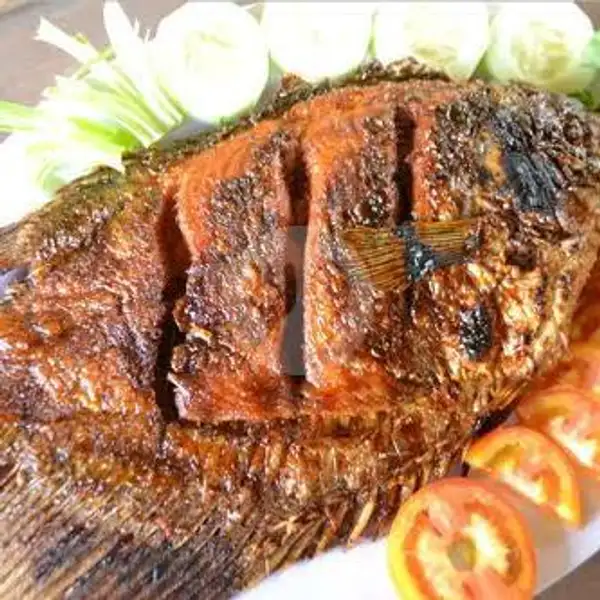 Gurame Bakar (m) | Lalapan Seafood Ayam dan Ikan Bakar Selera Kita, WR. Supratman