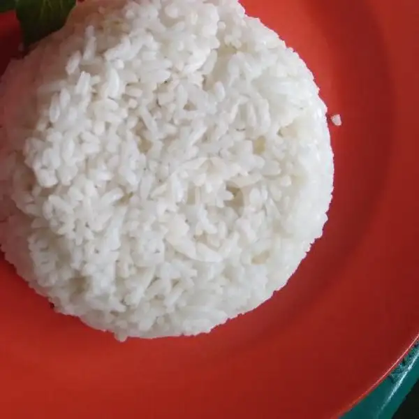 Nasi Putih | Pecel Lele Ronggolawe, Rorotan IX