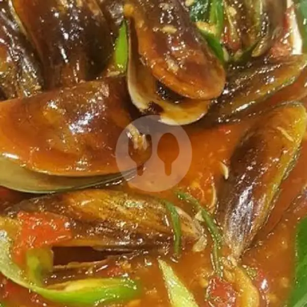 Kerang Ijo Saos Padang | Seafood 68, Medan Satria