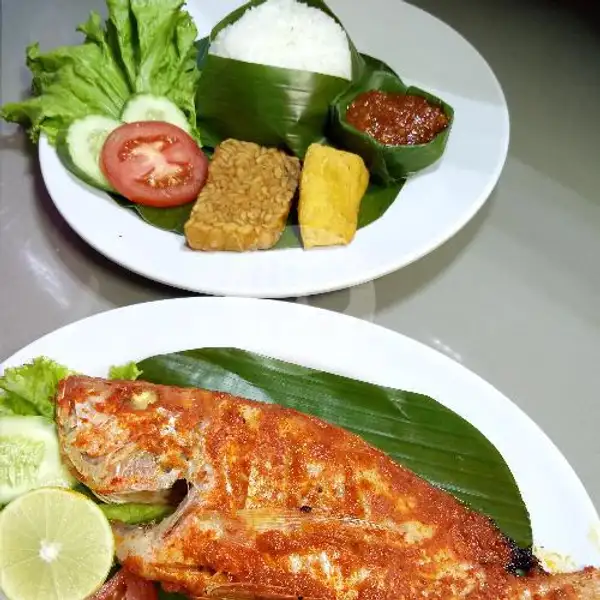 Nasi Timbel Kakap Bakar / Goreng (free Es Teh Manis) | Ayam Bakar Dan Ikan Bakar Selera Nusantara, Dapur Nusantara