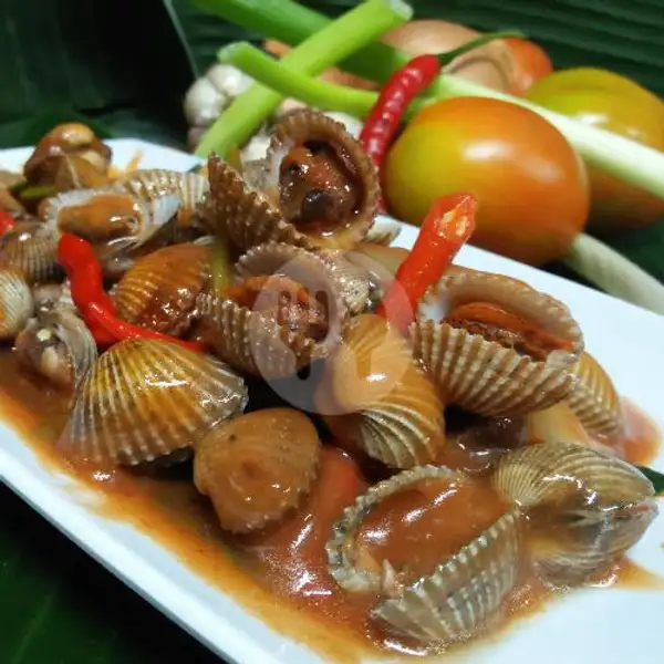 Kerang Dara Gongso Cabe Rawit | G Joss Seafood, Depok