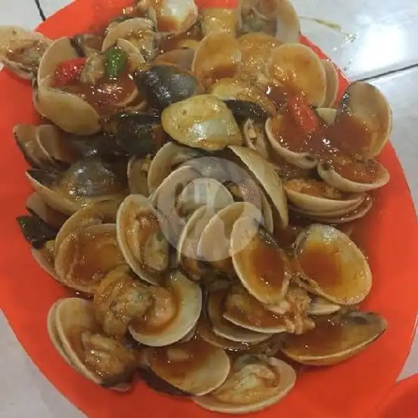 Kerang Tahu 1kg | Seafood.kom, Cimahi