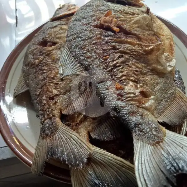 Nasi Ikan Bawal + 2sayur | Warung Pak Kumis Mangga Besar 13, Sawah Besar