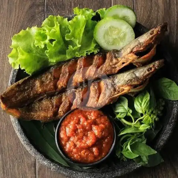 Ikan Lele + Tempe | Pecel Lele Dan Ayam Bakar Bumbu Kacang Purple House Cafe, Senen