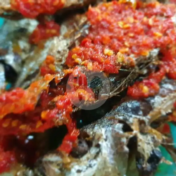Nasi Campur + Ikan Sambal | Nasi Lemak Ai Penuin
