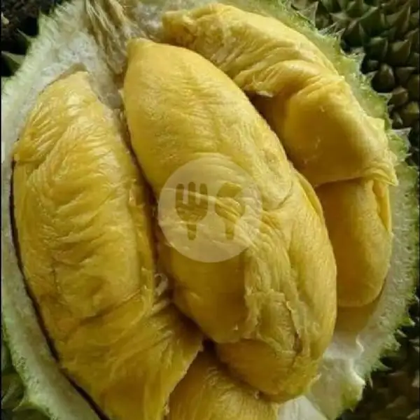 Full Selai Durian + Susu | ROTI BAKAR PREMIUM ABA YOUNG 
