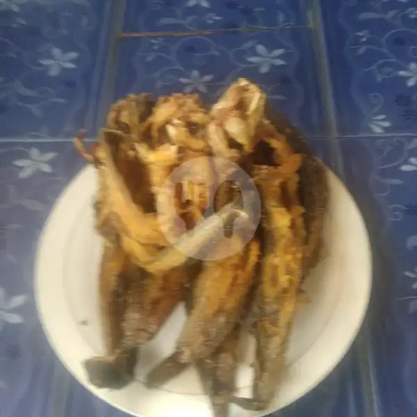 Nasi Ikan Lele Goreng | Rumah Makan Ampera Jaya, Kalidoni