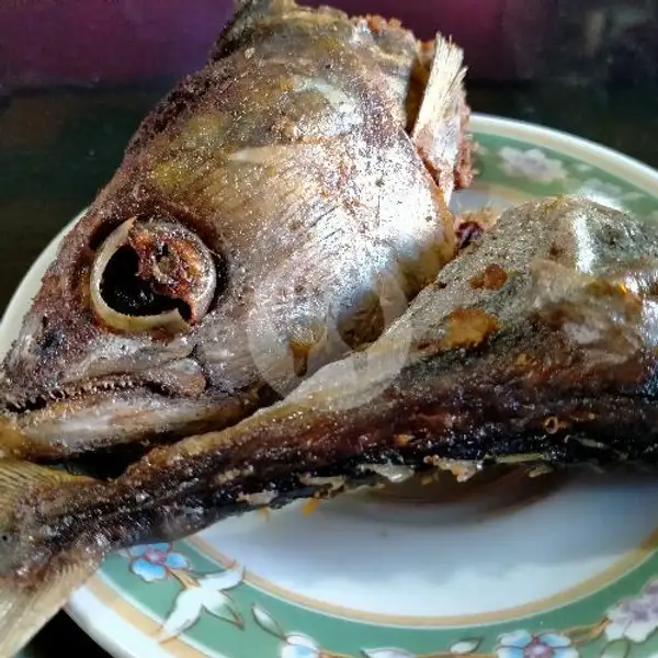 Ikan Tongkol Polos Dan Tongkol Balado | Rumah Makan Minang Raya