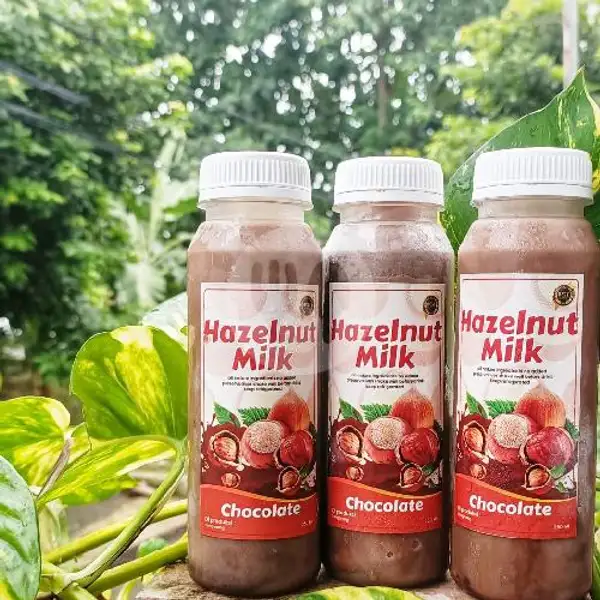 Hazelnut Milk Chocolate | JAMU D'JAMONI,Gang Mega
