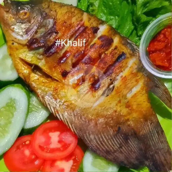 Ikan Gurame  Bakar BBQ 1,5 Kg Lebih,  -/+16 Ons | Gurame & Ayam Bakar Khalif, Ciputat Timur