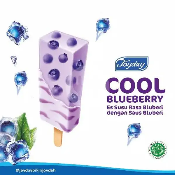 Joyday Cool Blueberry ( Best Seller ) | Aice Ice Cream, Roxy