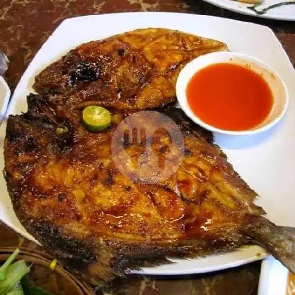 Ikan Bawal Bakar | Seafood 48 NaufaL