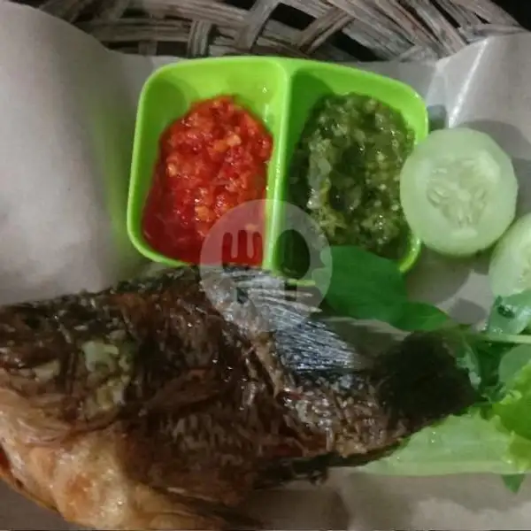 Ikan Nila Mini + Nasi + Tahu + Tempe Lalapan | Sambal Petir, Kubang Raya
