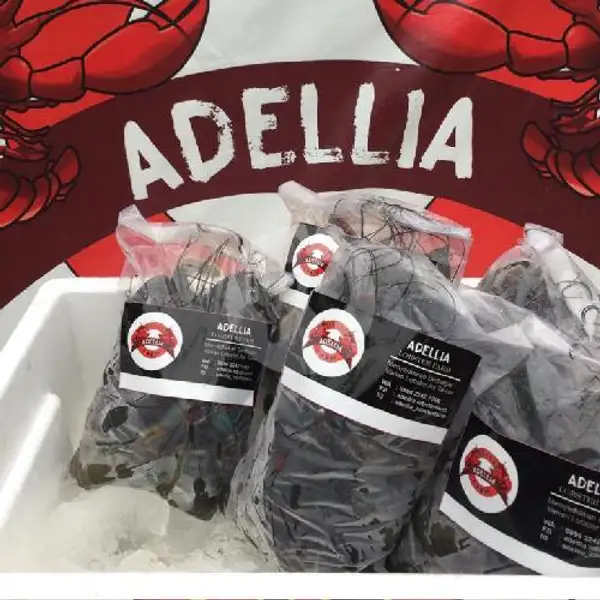 lobster frozen fresh | ADELLIA LOBSTER FARM