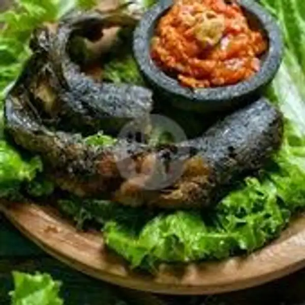 Pecel Lele Lalapan | Ayam Bakar Dan Ikan Bakar Selera Nusantara, Dapur Nusantara