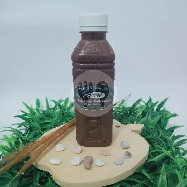 Cocoa Creamy ( Medium/Sedang ) | Cacocoo,Tritihlor