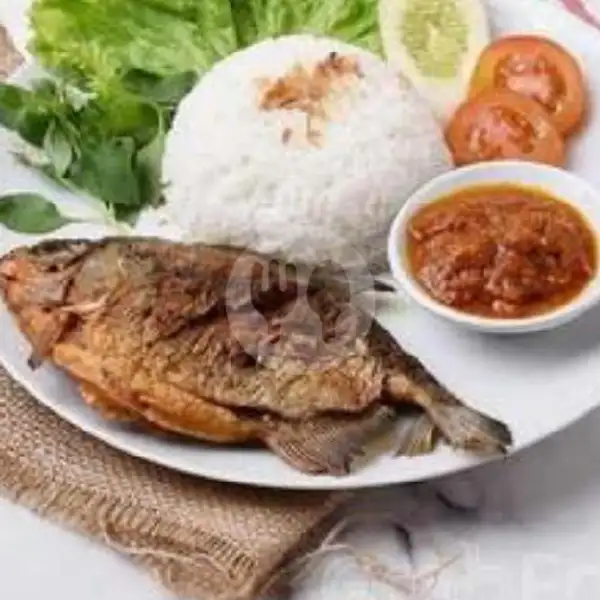 Ikan Bawal Saja (Tanpa Nasi) | Warkop YKS,  Kebon Nanas Selatan