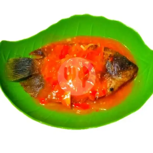 Ikan Nila Sauce Padang | Gurame & Ayam Bakar Khalif, Ciputat Timur